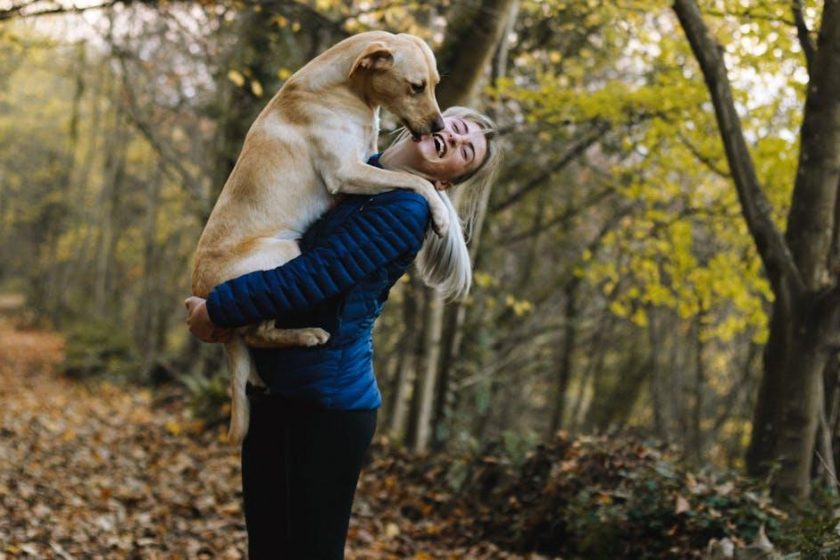 Køb det bedste udstyr til din hund og kat hos Canem